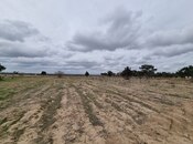 Satılır  torpaq 385 sot, Binə q., photo 7 from 8