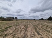 Satılır  torpaq 385 sot, Binə q., photo 6 from 8