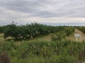 Продаётся  участок 500 сот, photo 3 from 3