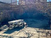 Продаётся  участок 6 сот, м. Насими, photo 6 from 6