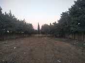 Продаётся  участок 20 сот, Сабунчинский  р., photo 1 from 8