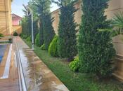 İcarəyə verilir 5 otaqlı həyət evi/bağ evi 280 m², Novxanı q., photo 6 from 8
