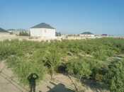 Продаётся  участок 47 сот, пос. Зире, photo 3 from 5