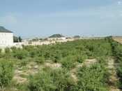 Продаётся  участок 47 сот, пос. Зире, photo 5 from 5