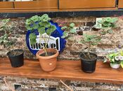 Продаётся  объект 400 м², м. Ази Асланов, photo 5 from 6