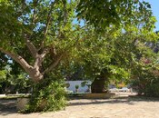 İcarəyə verilir 5 otaqlı həyət evi/bağ evi 300 m², Nardaran q., photo 8 from 8