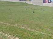 Satılır  torpaq 105 sot, Ramana q., photo 5 from 7