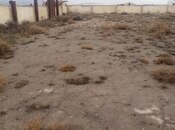 Объявление №4152845 - Баку, пос. Гобустан, 145 сот