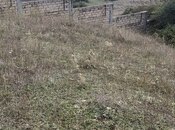 Elan №4196454 - Şamaxı, Şamaxı, 12 sot