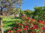 Продаётся  участок 38 сот, Наримановский  р., photo 6 from 6