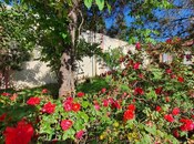 Объявление №4202997 - Баку, Наримановский  р., 38 сот