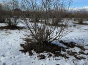 Продаётся  участок 100 сот, photo 2 from 8