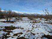 Продаётся  участок 100 сот, photo 5 from 8