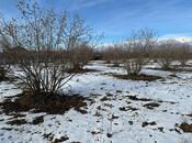 Продаётся  участок 100 сот, photo 4 from 8