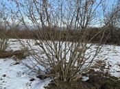 Продаётся  участок 100 сот, photo 3 from 8