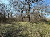 Elan №4218341 - Xaçmaz, Xaçmaz, 350 sot