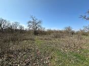 Satılır  torpaq 350 sot, Nabran r., photo 2 from 8