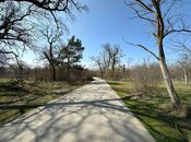 Satılır  torpaq 350 sot, Nabran r., photo 4 from 8