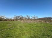 Satılır  torpaq 350 sot, Nabran r., photo 7 from 8