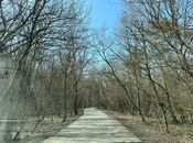 Satılır  torpaq 350 sot, Nabran r., photo 6 from 8