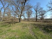 Satılır  torpaq 350 sot, Nabran r., photo 5 from 8