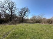 Satılır  torpaq 350 sot, Nabran r., photo 3 from 8