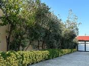 10 otaqlı həyət evi/bağ evi - Badamdar q. - 800 m²