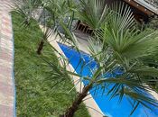 İcarəyə verilir 4 otaqlı həyət evi/bağ evi 360 m², Şüvəlan q., photo 3 from 8