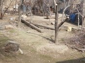 Объявление №4236977 - Баку, м. Насими, 8 сот