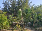 Satılır  torpaq 8 sot, photo 4 from 8