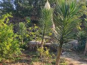 Satılır  torpaq 8 sot, photo 5 from 8