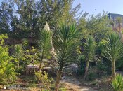 Elan №4238230 - Sumqayıt, Sumqayıt, 8 sot