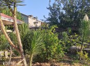 Satılır  torpaq 8 sot, photo 3 from 8