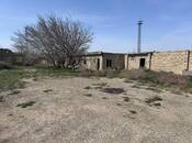 İcarəyə verilir  torpaq 200 sot, Sahil q., photo 5 from 8