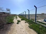 İcarəyə verilir  torpaq 200 sot, Sahil q., photo 7 from 8