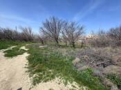 İcarəyə verilir  torpaq 200 sot, Sahil q., photo 4 from 8