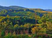 Сдаётся 3-комн. дом/дача 100 м², photo 5 from 8