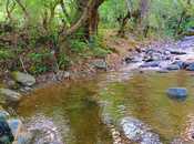 Сдаётся 3-комн. дом/дача 100 м², photo 3 from 8