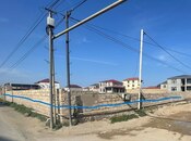 Продаётся  участок 50 сот, пос. Бина, photo 2 from 6