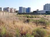 Объявление №4268383 - Баку, м. Ахмедлы, 30 сот