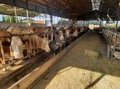 Продаётся  объект 20 000 м², photo 4 from 8