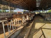 Продаётся  объект 20 000 м², photo 5 from 8