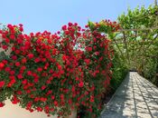 Satılır 7 otaqlı həyət evi/bağ evi 600 m², Nardaran q., photo 6 from 8