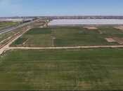 Объявление №3984672 - Баку, пос. Зых, 1700 сот