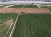 Продаётся  участок 1 700 сот, пос. Зых, photo 4 from 4