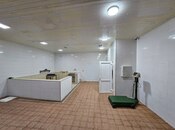 Satılır  obyekt 3 000 m², Ramana q., photo 7 from 8