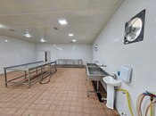 Satılır  obyekt 3 000 m², Ramana q., photo 6 from 8