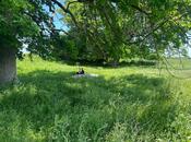 Продаётся  участок 9 сот, Набрань р., photo 4 from 8