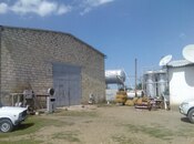 Satılır  torpaq 131 sot, photo 5 from 5