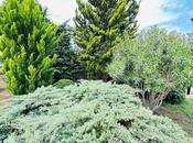 İcarəyə verilir 6 otaqlı həyət evi/bağ evi 500 m², Bilgəh q., photo 4 from 8